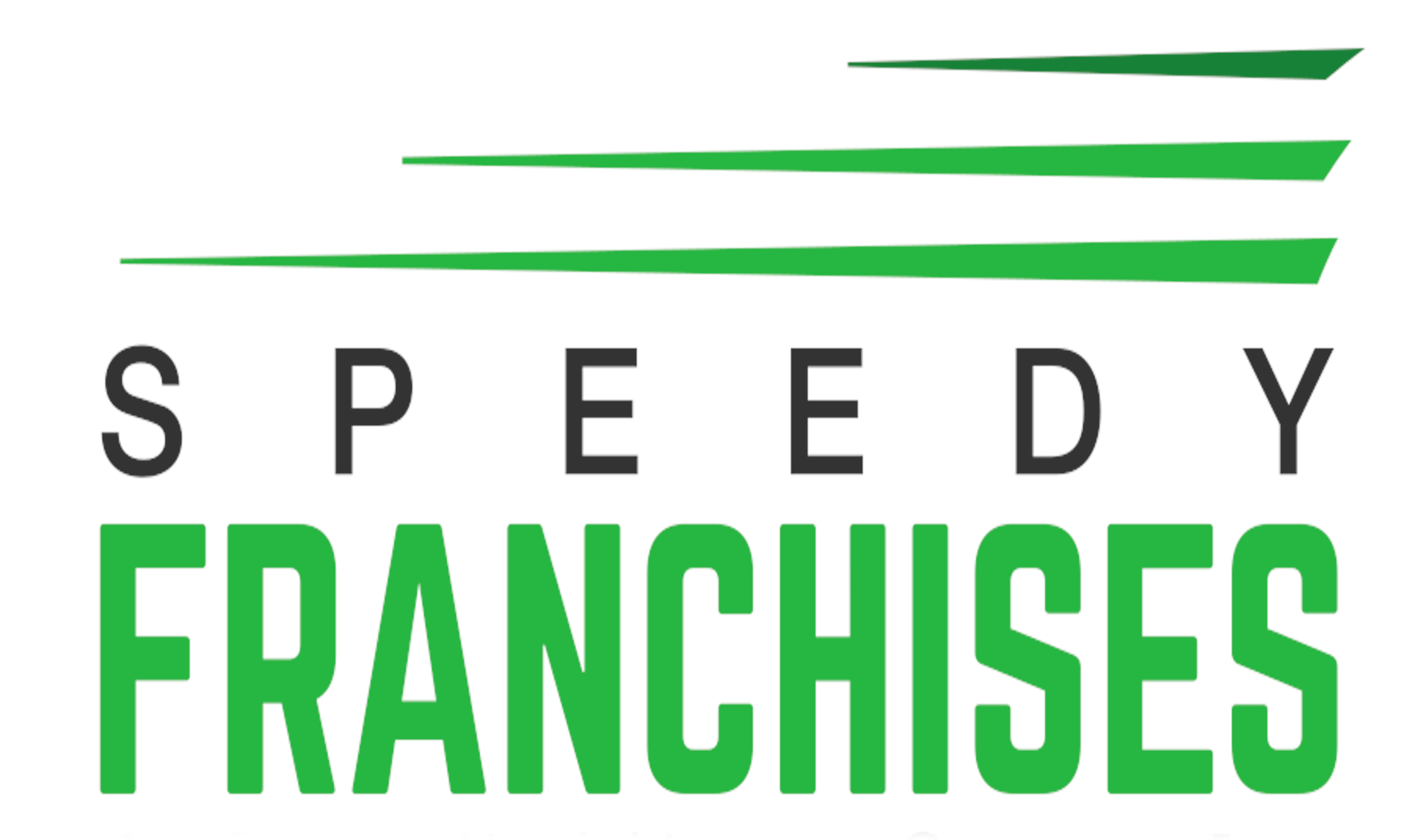 Speedy Holdings Group